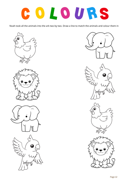 Activity Book