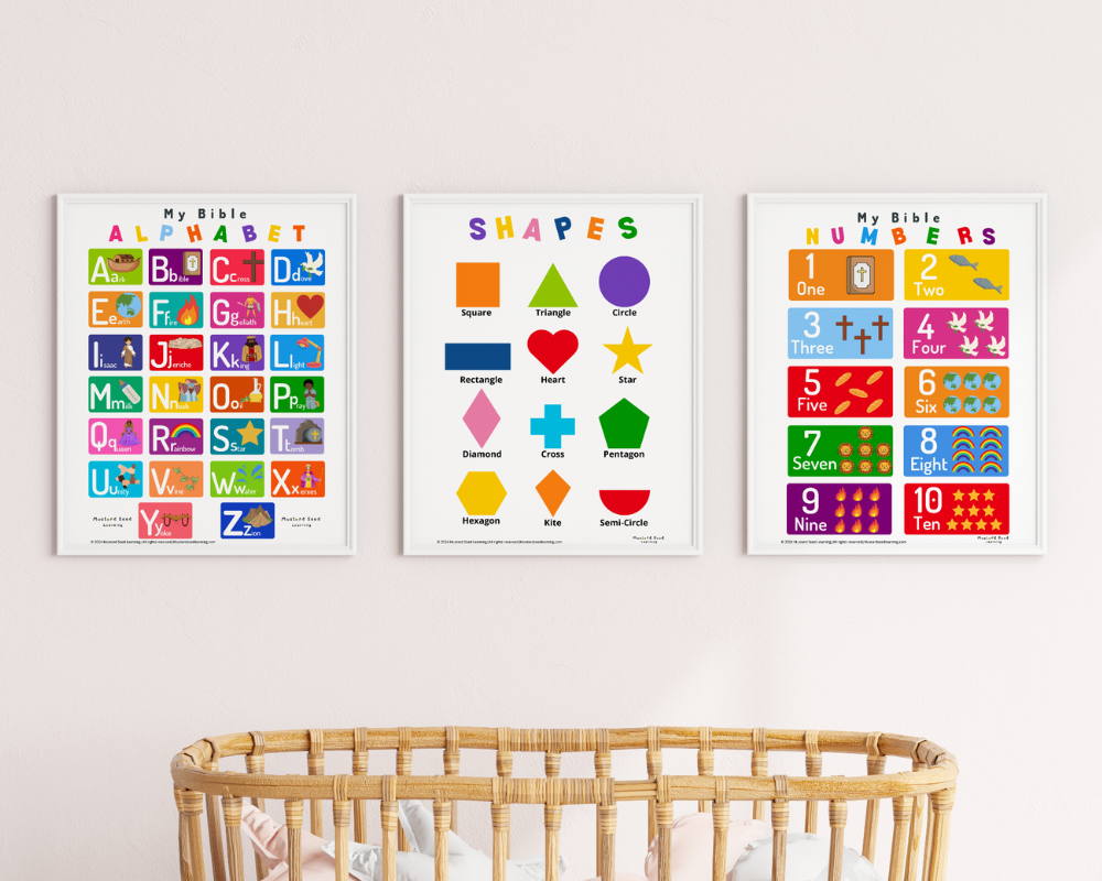 Educational Poster Bundle